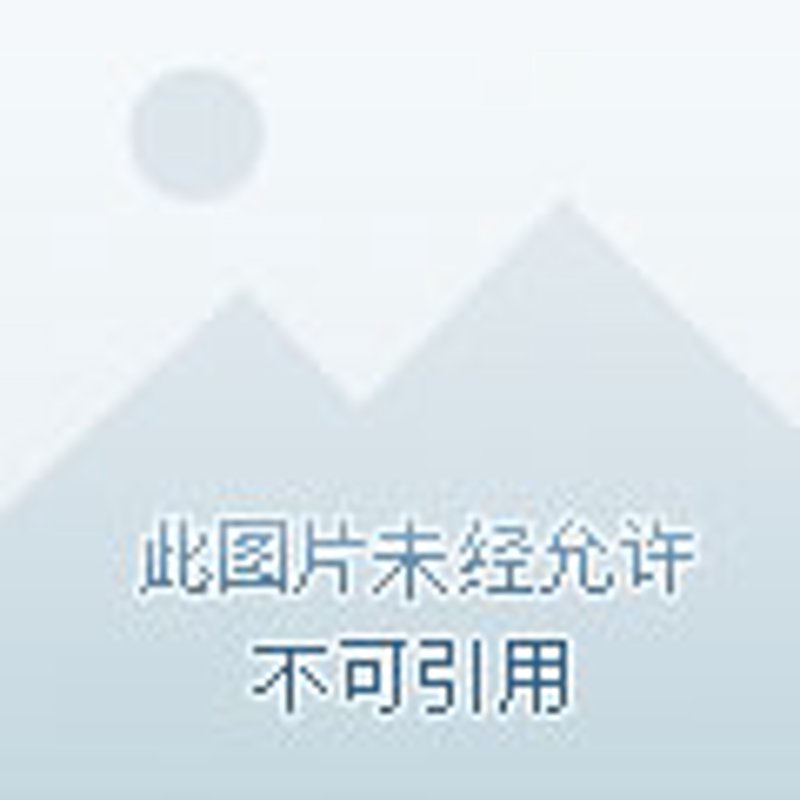 全程陪诊